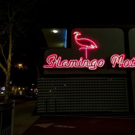 The Flamingo Motel São José Exterior foto