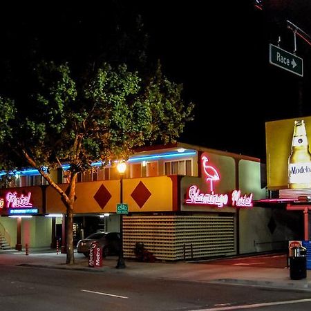 The Flamingo Motel São José Exterior foto