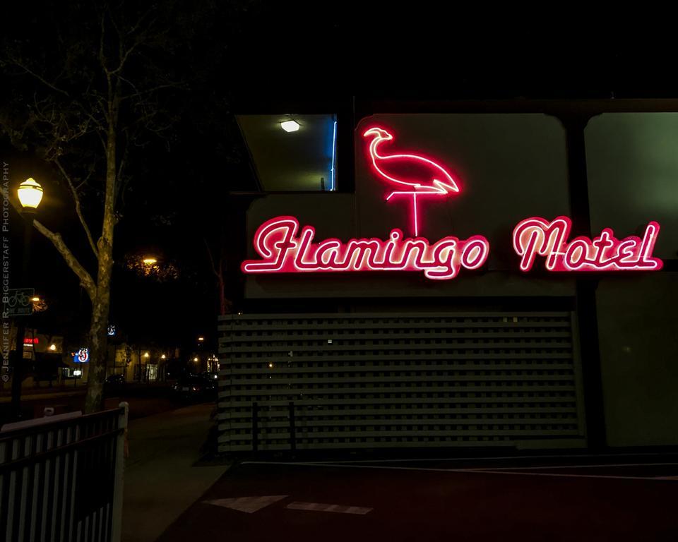 The Flamingo Motel São José Exterior foto