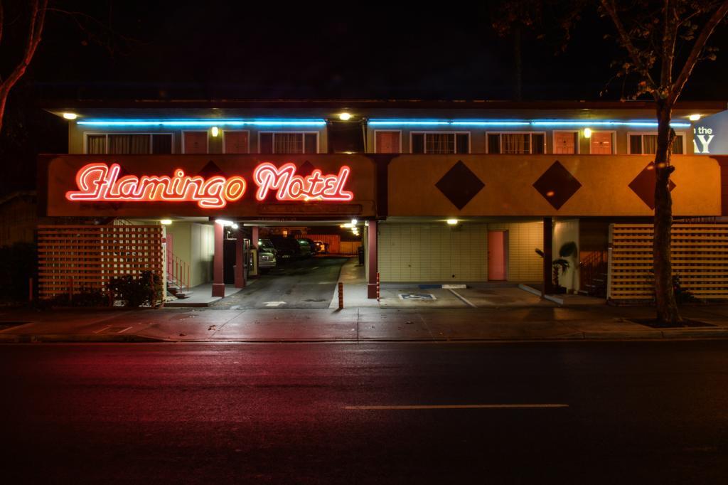 The Flamingo Motel São José Exterior foto