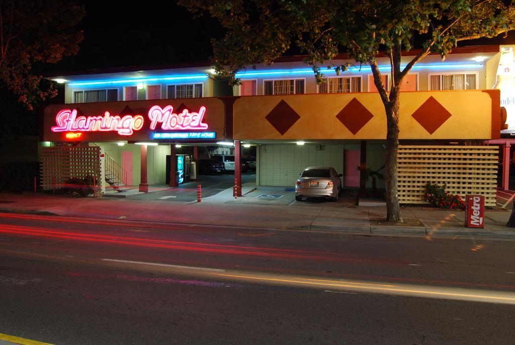 The Flamingo Motel São José Exterior foto