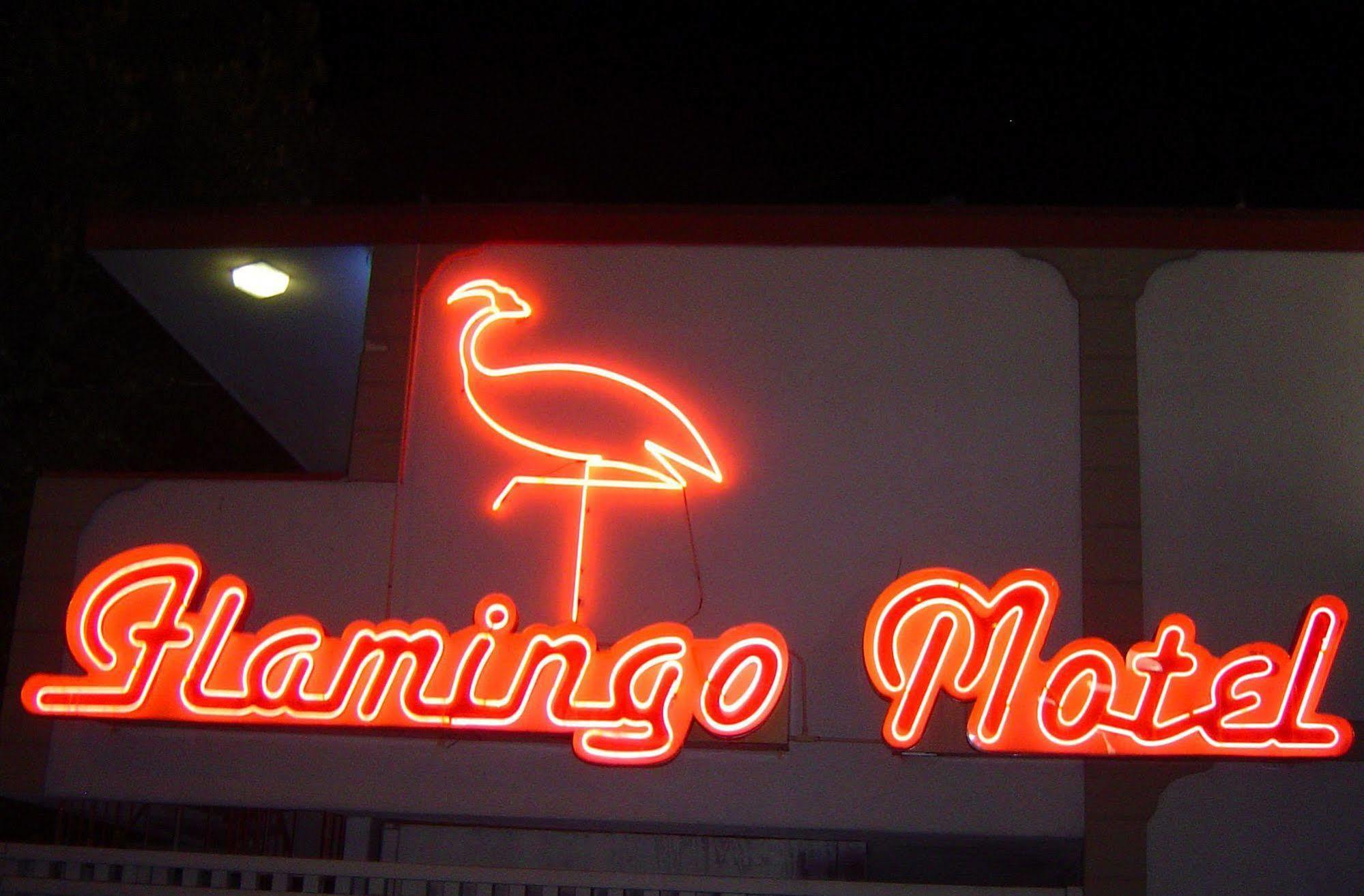 The Flamingo Motel São José Exterior foto