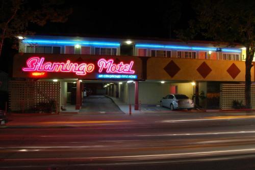 The Flamingo Motel São José Exterior foto